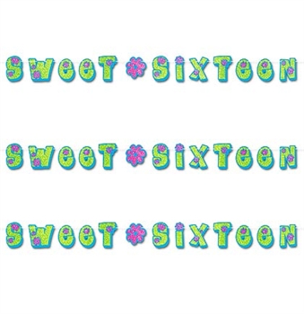 Neon Sweet Sixteen Banner