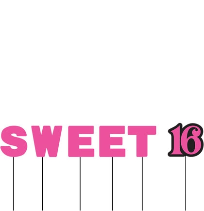 Sweet Sixteen 16th Birthday Pink Candles x 13 